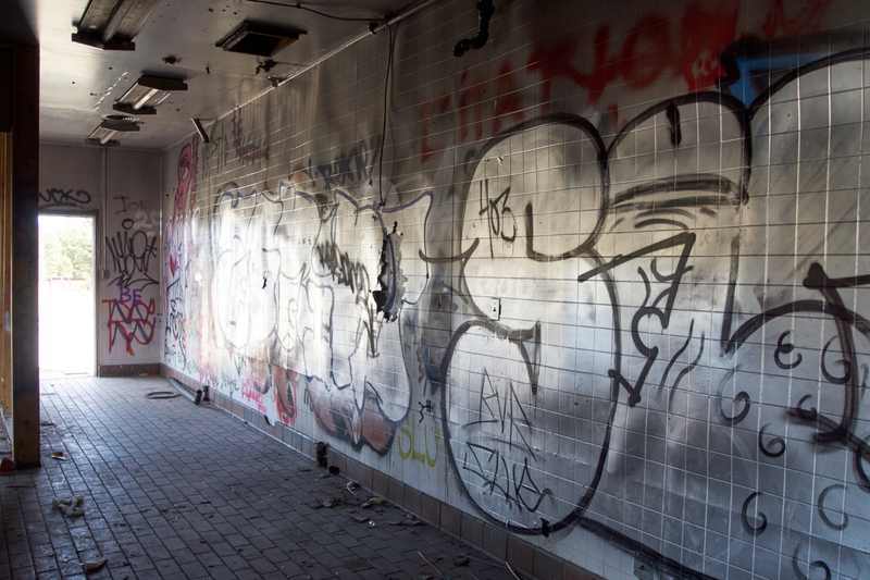 Illustration for article titled Photodump. Mountains and Graffiti, oh my!